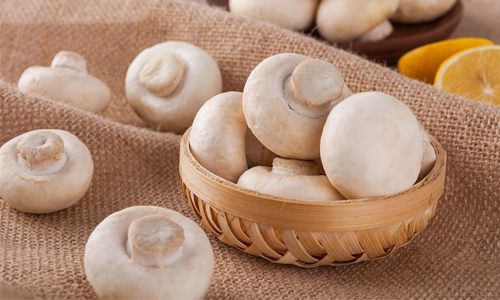 Ways to keep fresh when transporting mushrooms —— Real-time Temp&Humidity Tracker